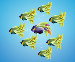 Image showing Purble angelfish between group of green angelfish