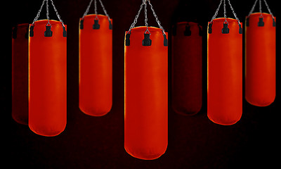 Image showing Punching bag