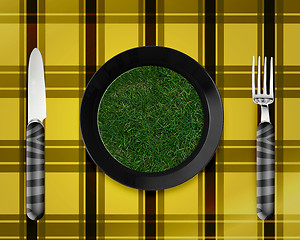 Image showing green grass on black plate
