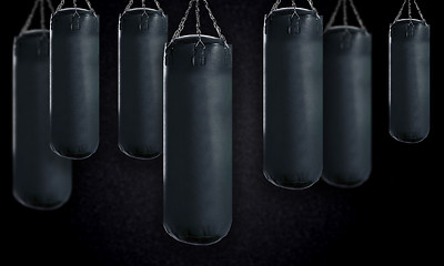 Image showing Punching bag