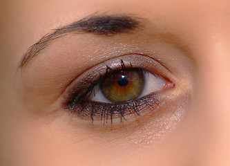 Image showing Auge offen | open eye
