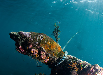 Image showing Underwater shipwreck