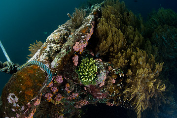 Image showing Underwater shipwreck