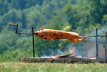 Image showing spanferkel | suckling pig