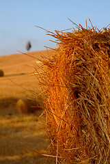 Image showing strohballen | straw bale