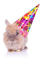 Image showing little cute birthday rabbit
