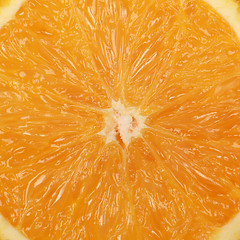 Image showing Orange