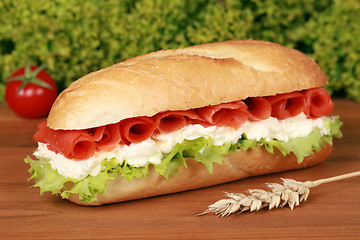 Image showing Fresh Sandwich
