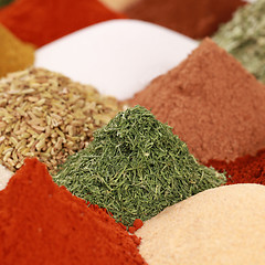 Image showing Spices and herbs