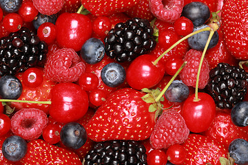 Image showing Collection of berries