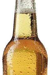 Image showing Beer bottle