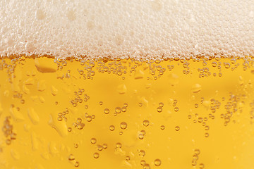 Image showing Beer glass