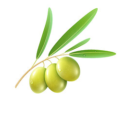 Image showing Green olives