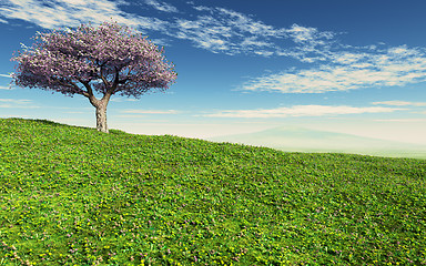 Image showing Cherry Tree