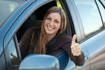 Image showing Happy driver