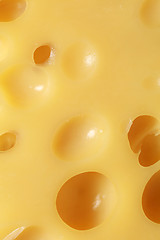 Image showing Cheese with many holes