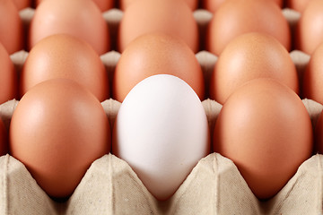 Image showing Eggs in a box