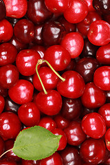 Image showing Cherry background