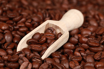 Image showing Coffee beans in a wooden spoon