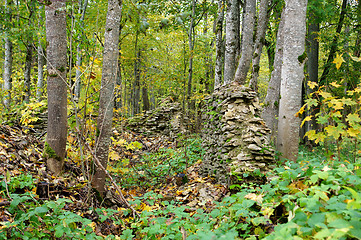 Image showing Ruins  in forest
