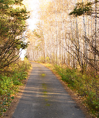 Image showing autumn road