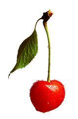 Image showing Sweet cherries