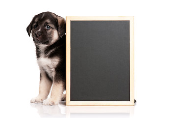 Image showing Puppy with blackboard