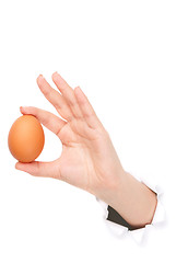 Image showing Hand with egg