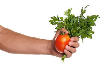 Image showing Hand with parsley