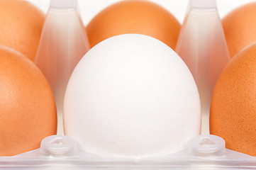 Image showing Eggs in box