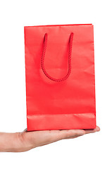 Image showing Hand with shopping bag