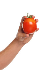 Image showing Hand with tomato