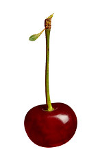 Image showing Sweet cherries