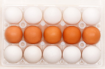 Image showing Eggs in box