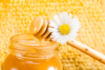 Image showing jar of honey on the background of honeycombs 