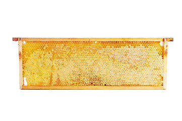 Image showing frame with honeycomb full of honey, isolated on white