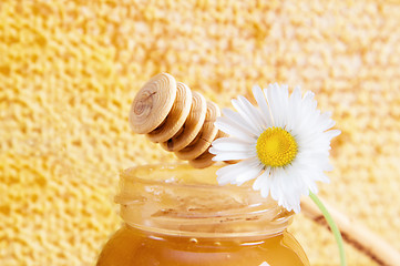 Image showing jar of honey on the background of honeycombs 