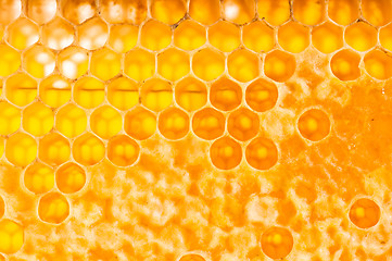 Image showing frame with honeycomb full of honey