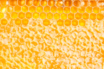 Image showing frame with honeycomb full of honey