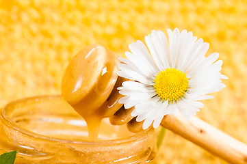 Image showing jar of honey on the background of honeycombs 