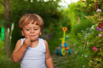 Image showing cute kid chewing berries