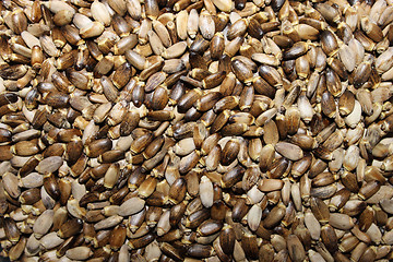 Image showing Seeds of a thistle spotty 