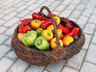 Image showing Crop in a basket