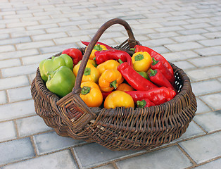 Image showing Crop in a basket