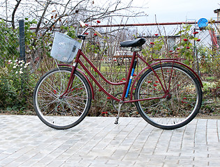 Image showing Bike on the patio