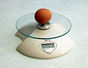 Image showing egg on scales
