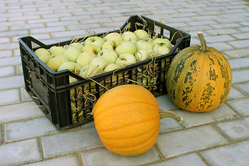 Image showing Apples in a plastic box and pumpkins