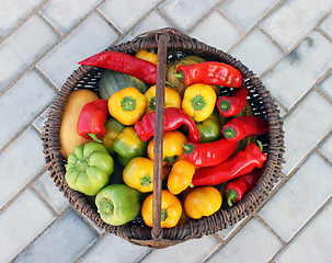 Image showing Crop in a basket