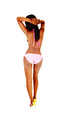 Image showing Young bikini girl from back.