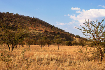 Image showing Defaced Mountain 